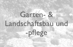 5 Gala Fotolia 115729646 L