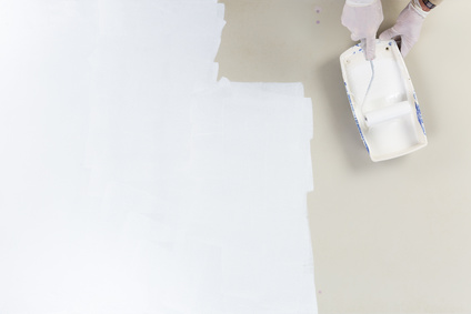 Minieralische Farbe von Otterbein f&uuml;r Innen und Au&szlig;en