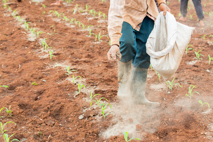 D&uuml;ngelkalk von Otterbein f&uuml;r Landwirtschaft und Garten