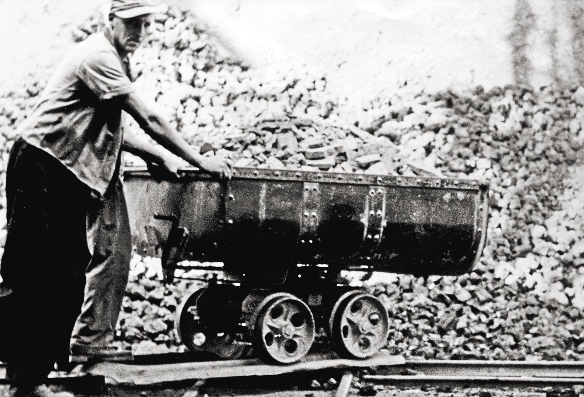 10633119 690511037705354 4367812303880721482 o